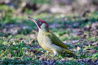 Similar image 21766612