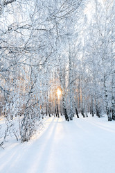 Similar image 21767023