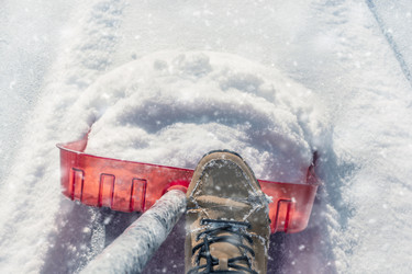 Similar image 21767025