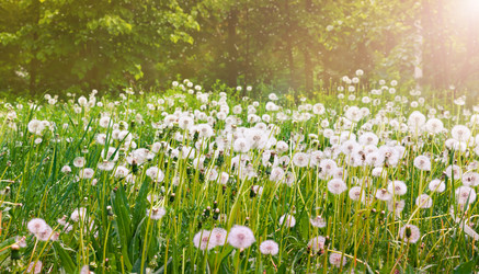 Similar image 21766621