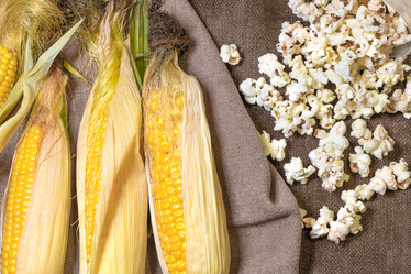 Similar image 21767026