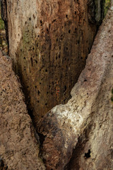 Similar image 21766623