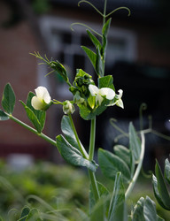 Similar image 21767098