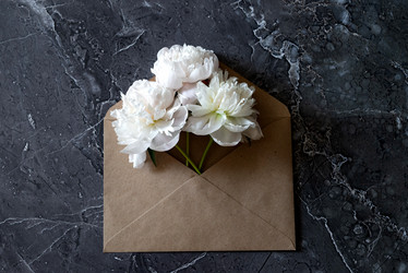 Similar image 21767099