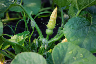 Similar image 21767101