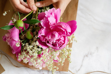 Similar image 21767102