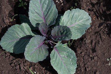 Similar image 21767104