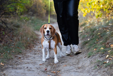 Similar image 21767112