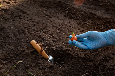 Similar image 21767113