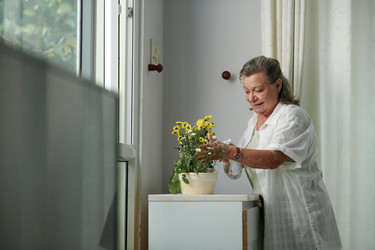 Similar image 21728828