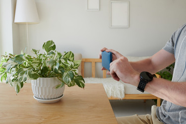 Similar image 21724242