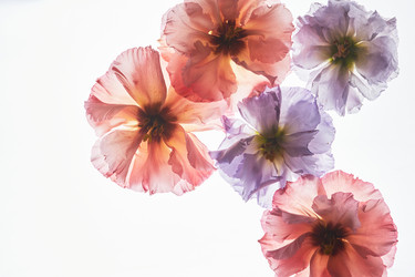 Similar image 21740111