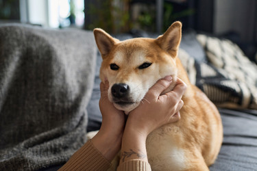 Similar image 21738160