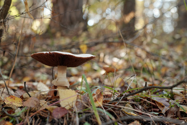 Similar image 21730994