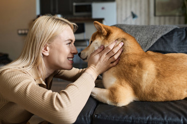 Similar image 21730127