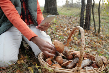 Similar image 21728416