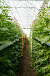 Similar image 21735079