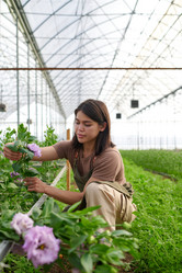 Similar image 21731840