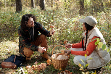 Similar image 21737196