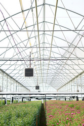 Similar image 21734146