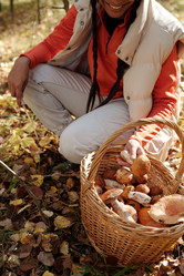 Similar image 21734583