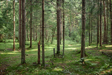 Similar image 21733824