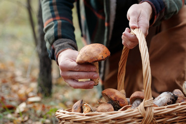 Similar image 21735681