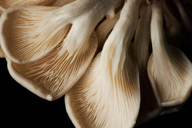 Similar image 21740863