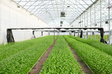 Similar image 21736593