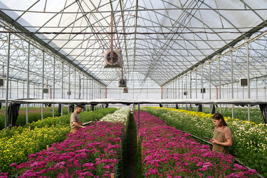 Similar image 21730359