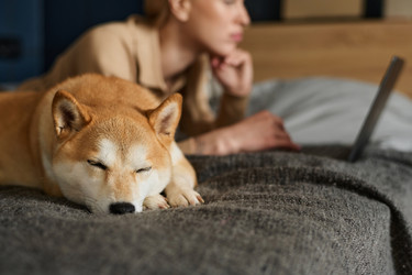 Similar image 21730604