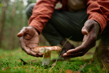 Similar image 21737170