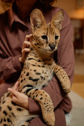 Similar image 21739643