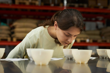 Similar image 21741037