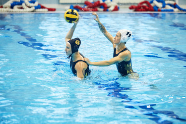 Similar image 21733354