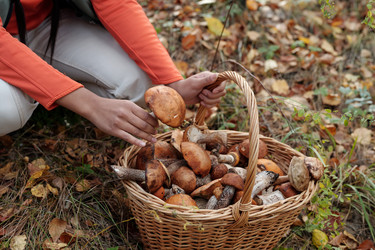 Similar image 21728296