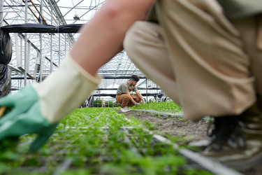 Similar image 21728251