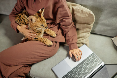 Similar image 21741786