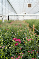 Similar image 21725750