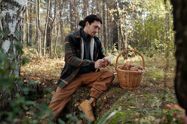 Similar image 21733011