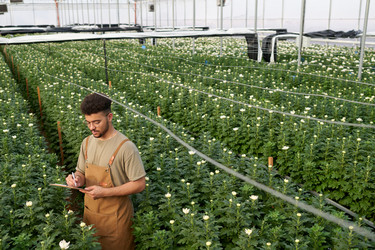 Similar image 21728811