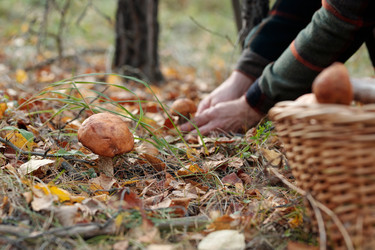 Similar image 21736943