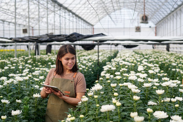 Similar image 21726977