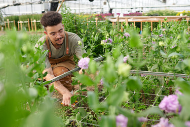 Similar image 21737705