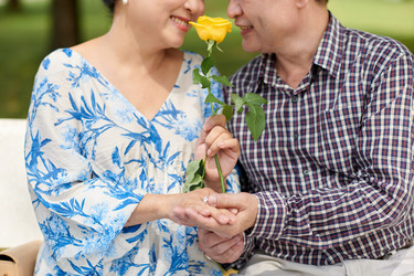 Similar image 21733997