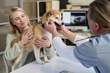 Similar image 21734534