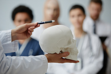 Similar image 21740551