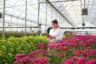 Similar image 21728968