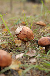 Similar image 21727942