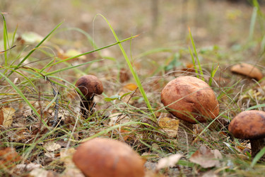 Similar image 21735468